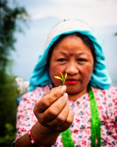 nb-ff-puttabon-plugger-leave