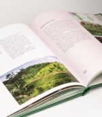 The - fra blad til kop bok 2. utgave - Image 3